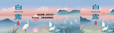 今日白露国风创意公众号封面图