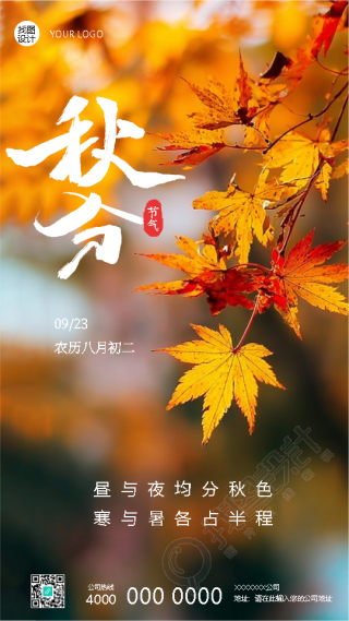 24节气秋分一叶知秋意手机海报