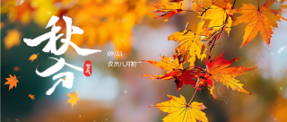 秋分唯美枫叶创意微信公众号首图