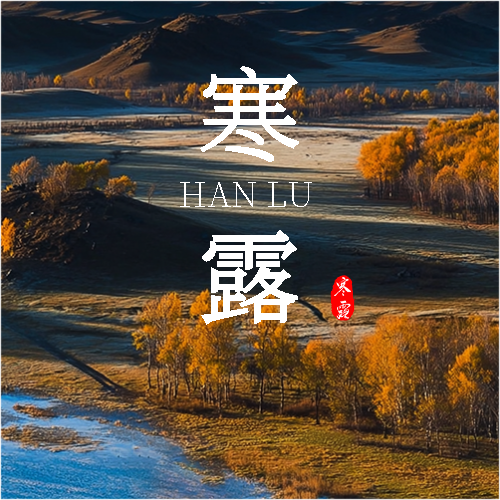 寒露节气实景宣传微信公众号次图