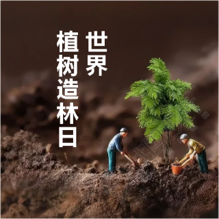 植树造林日简约宣传微信公众号次图