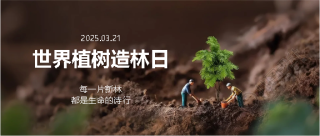 世界植树造林日创意微信公众号首图