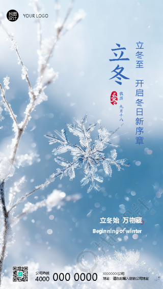 立冬始万物藏雪花实景手机海报