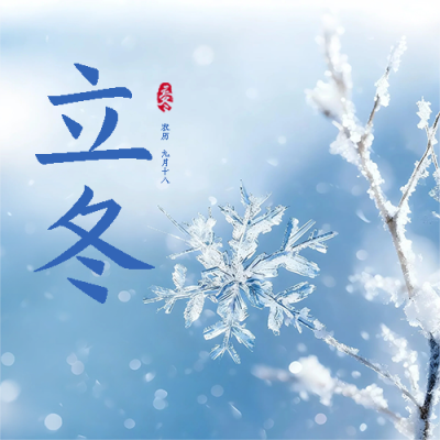 立冬节气简约雪花微信公众号次图