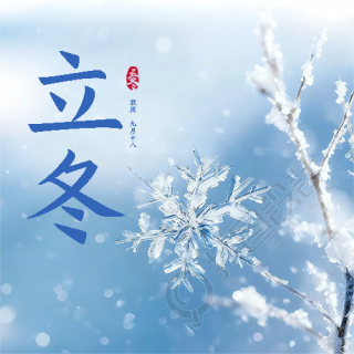 立冬节气简约雪花微信公众号次图