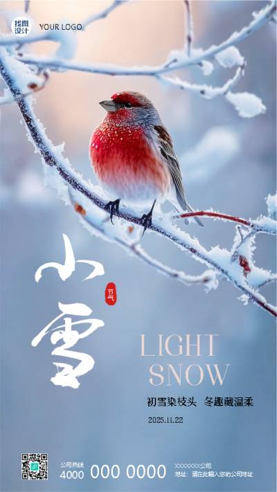 小雪节气雪花飘飘实景宣传手机海报