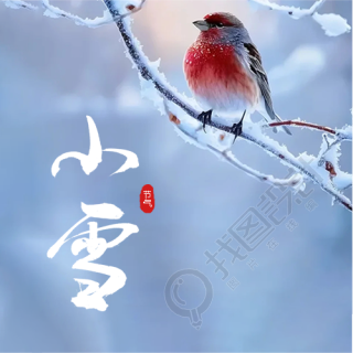 小雪时节天渐寒雪渐盛微信公众号次图