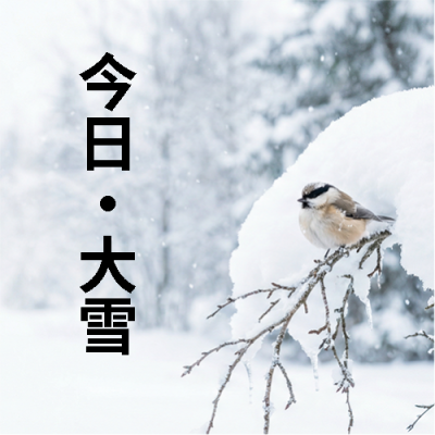 今日大雪民俗宣传微信公众号次图