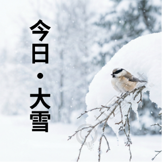 今日大雪民俗宣传微信公众号次图
