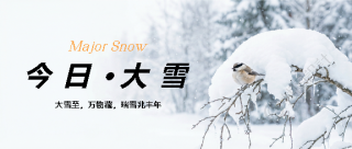 今日大雪实景宣传微信公众号首图