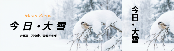 今日大雪万物藏公众号封面图