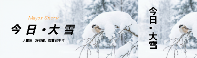 今日大雪万物藏公众号封面图