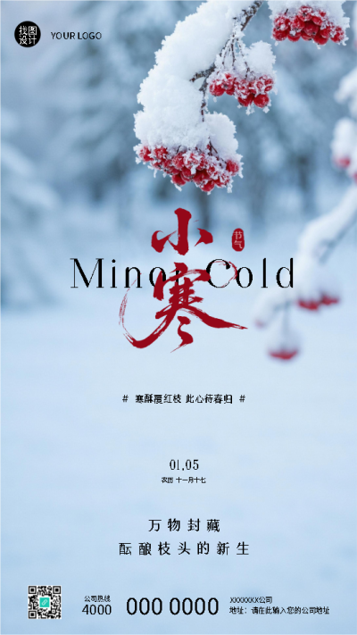 小寒节气万物封藏实景宣传手机海报