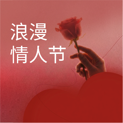 浪漫情人节红玫瑰微信公众号次图