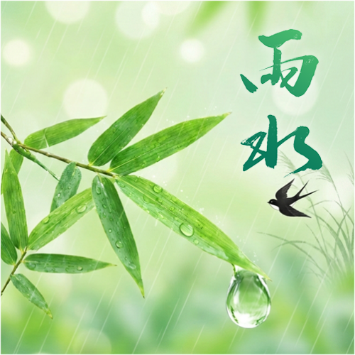 雨水时节燕子简约微信公众号次图