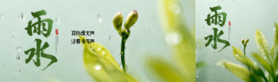 今日雨水喜迎春天公众号封面图