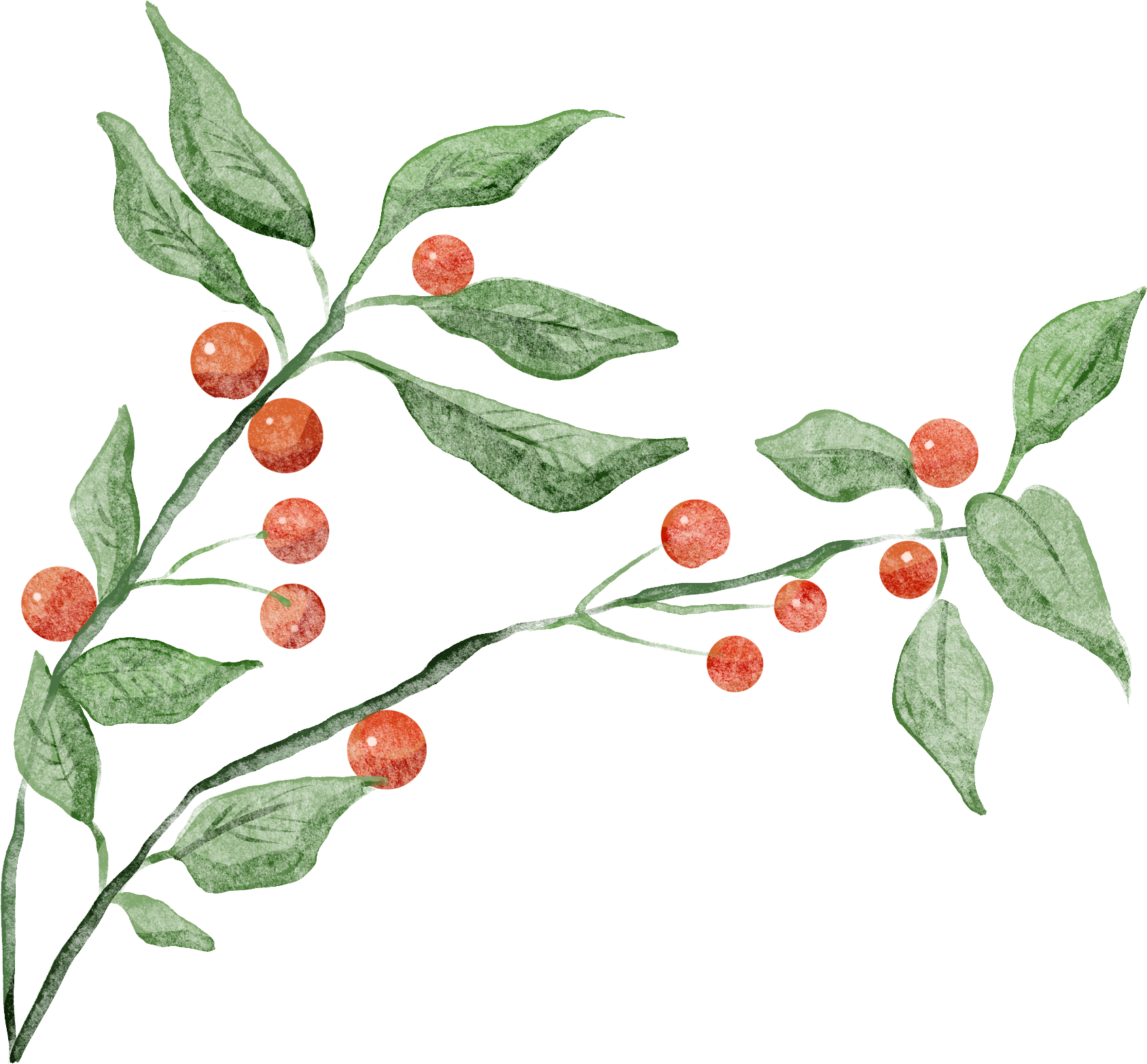 红果叶子图片绘画大全如何画？