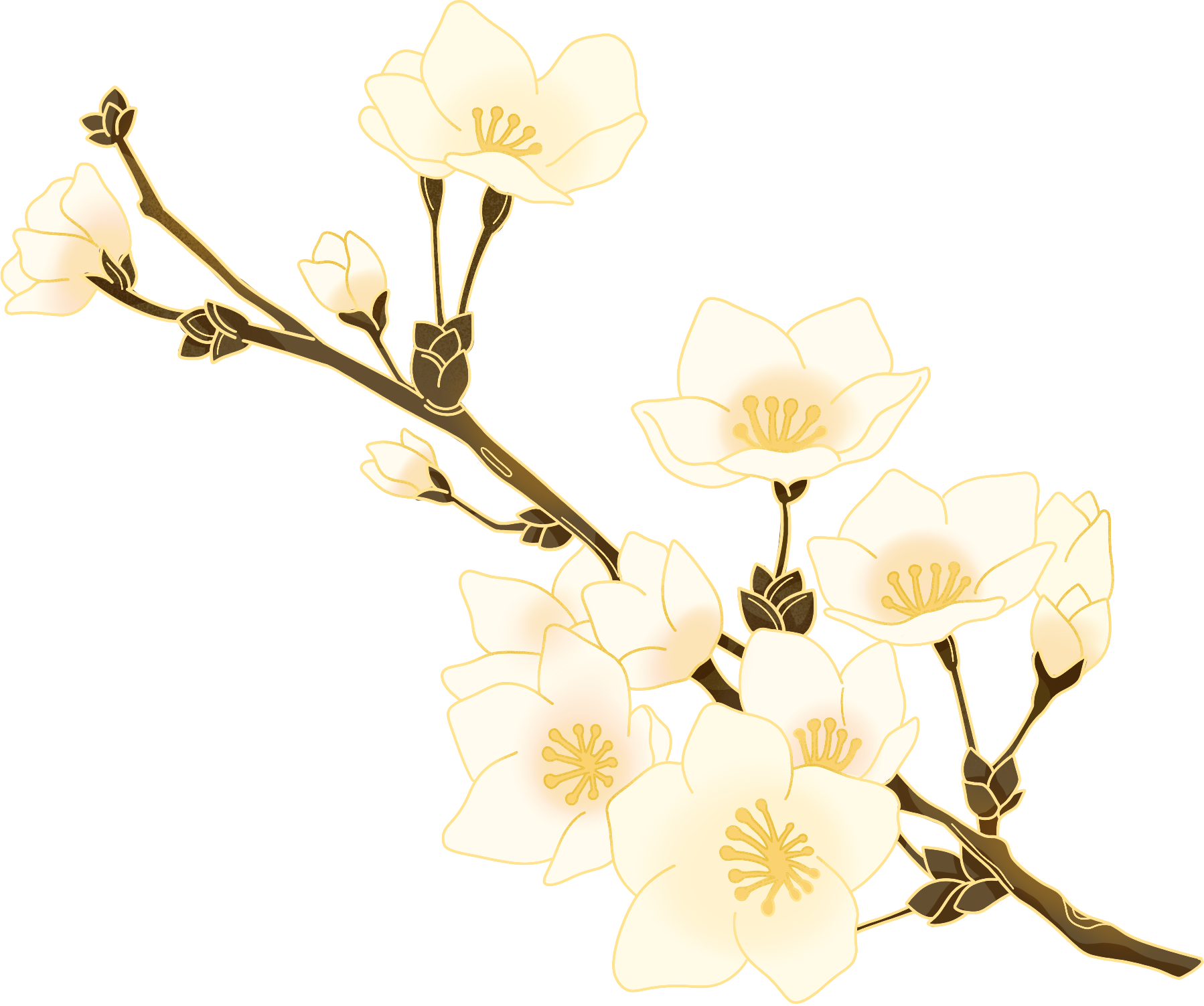 黄白色花枝图片素材大全制作技巧！