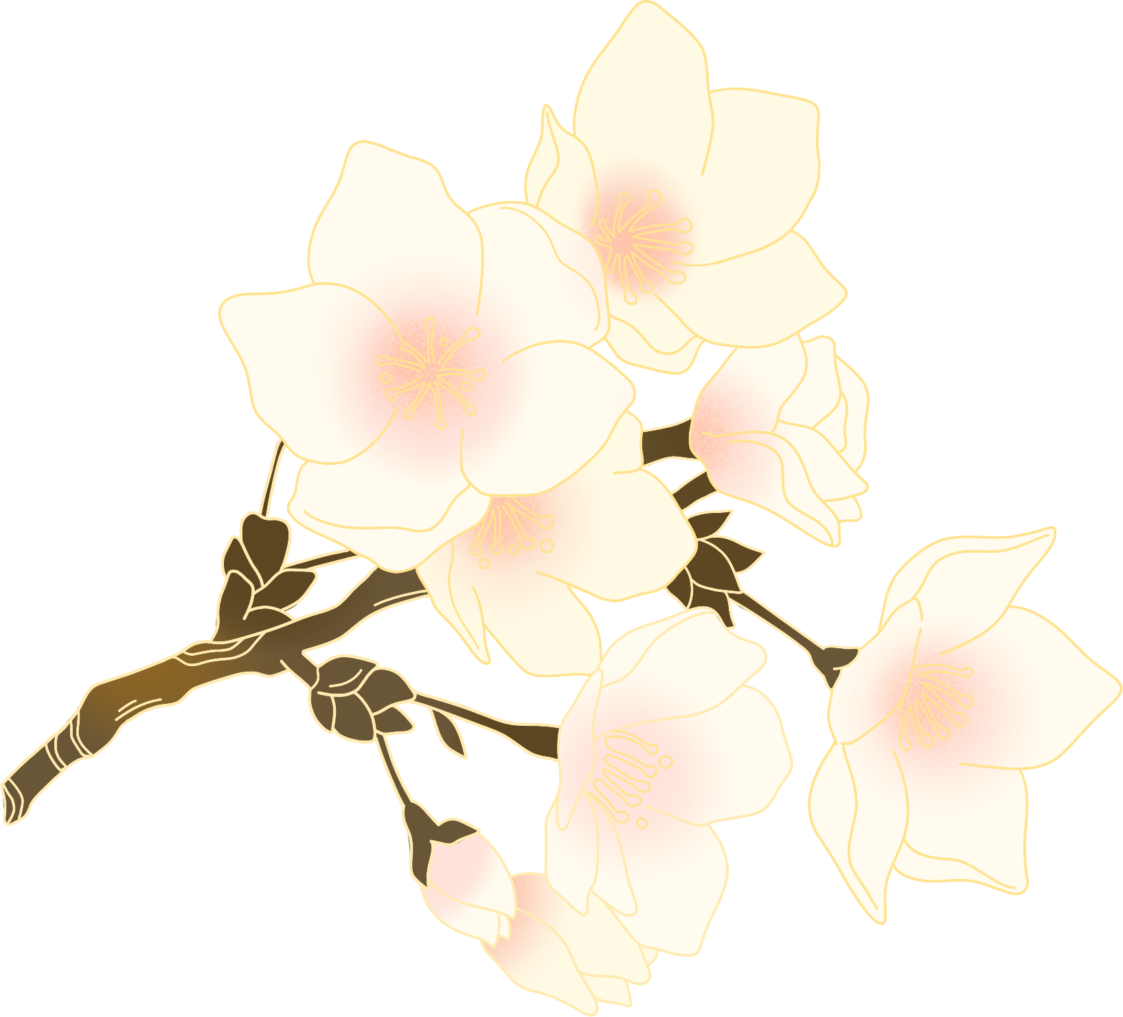 白色花枝图片绘画作品如何画？