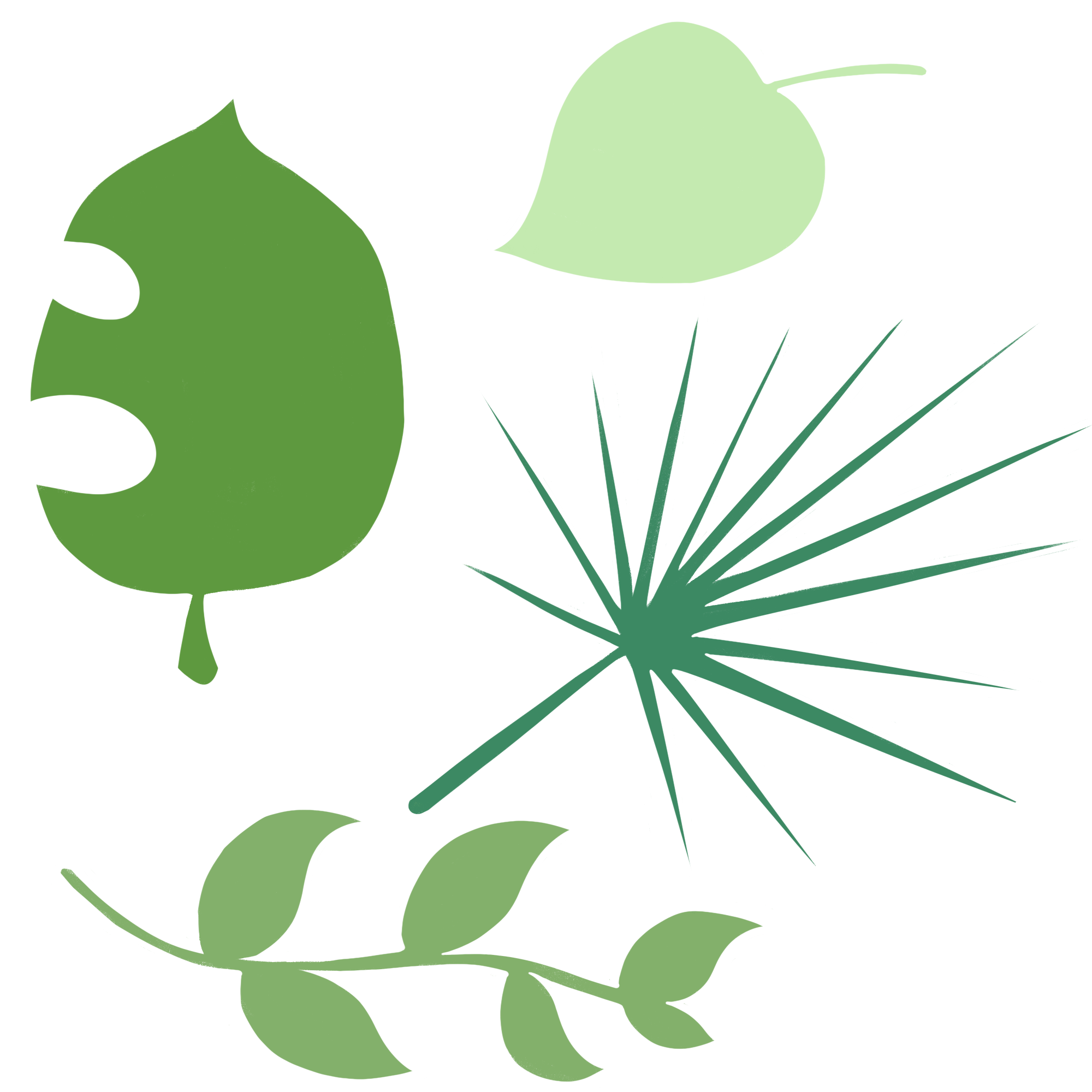 植物叶子图片插画简单如何绘制?