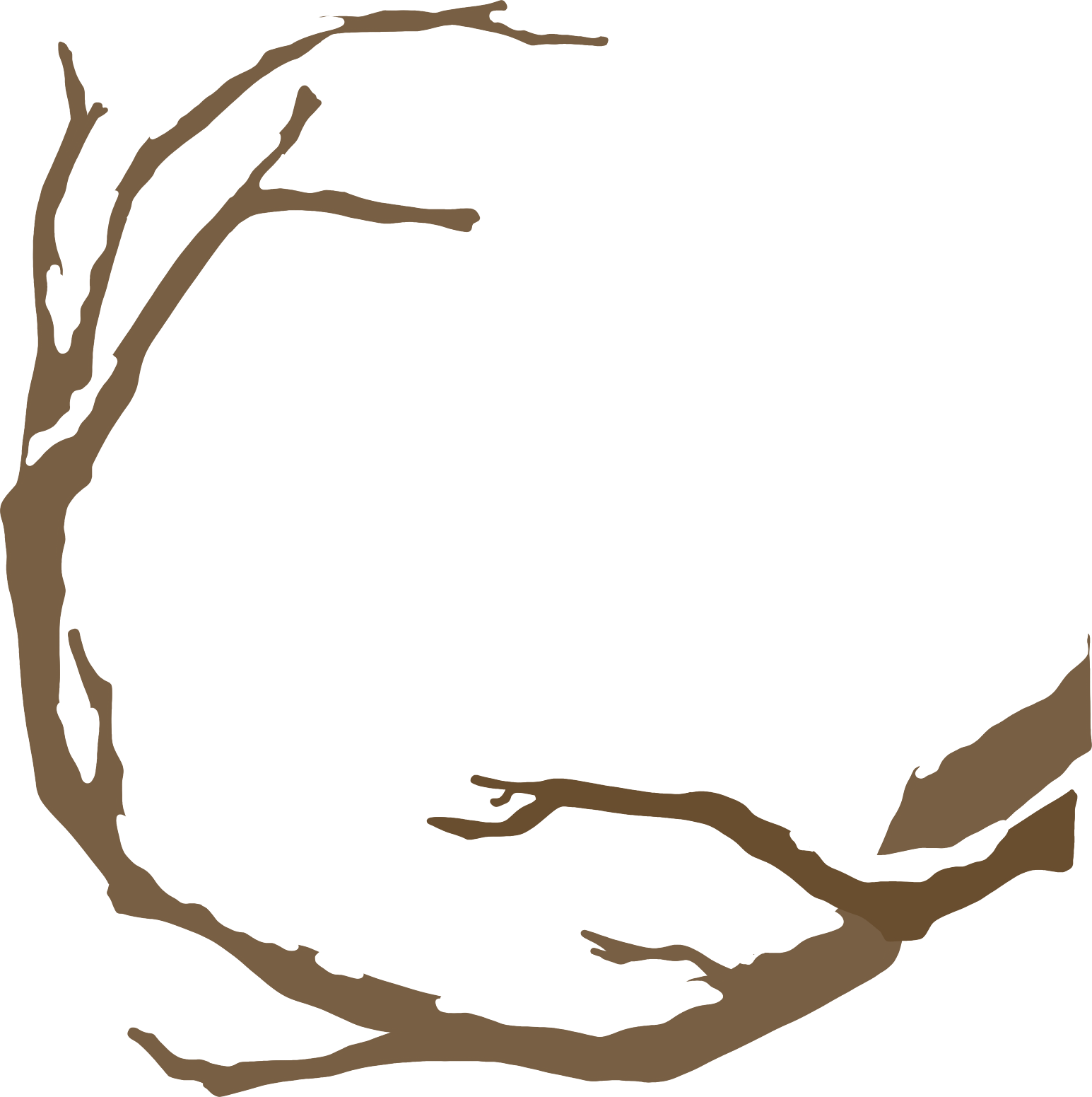 树枝灯笼绘画图片怎么画？