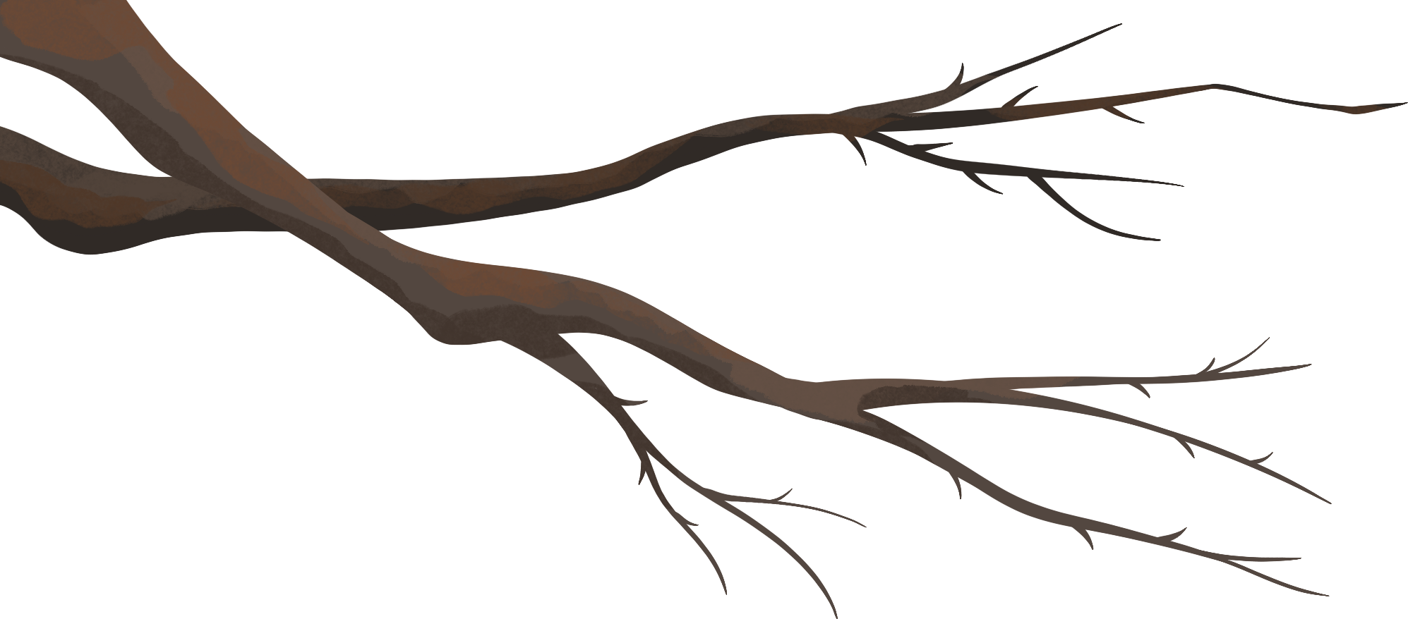 桃花春天绘画图片如何画？