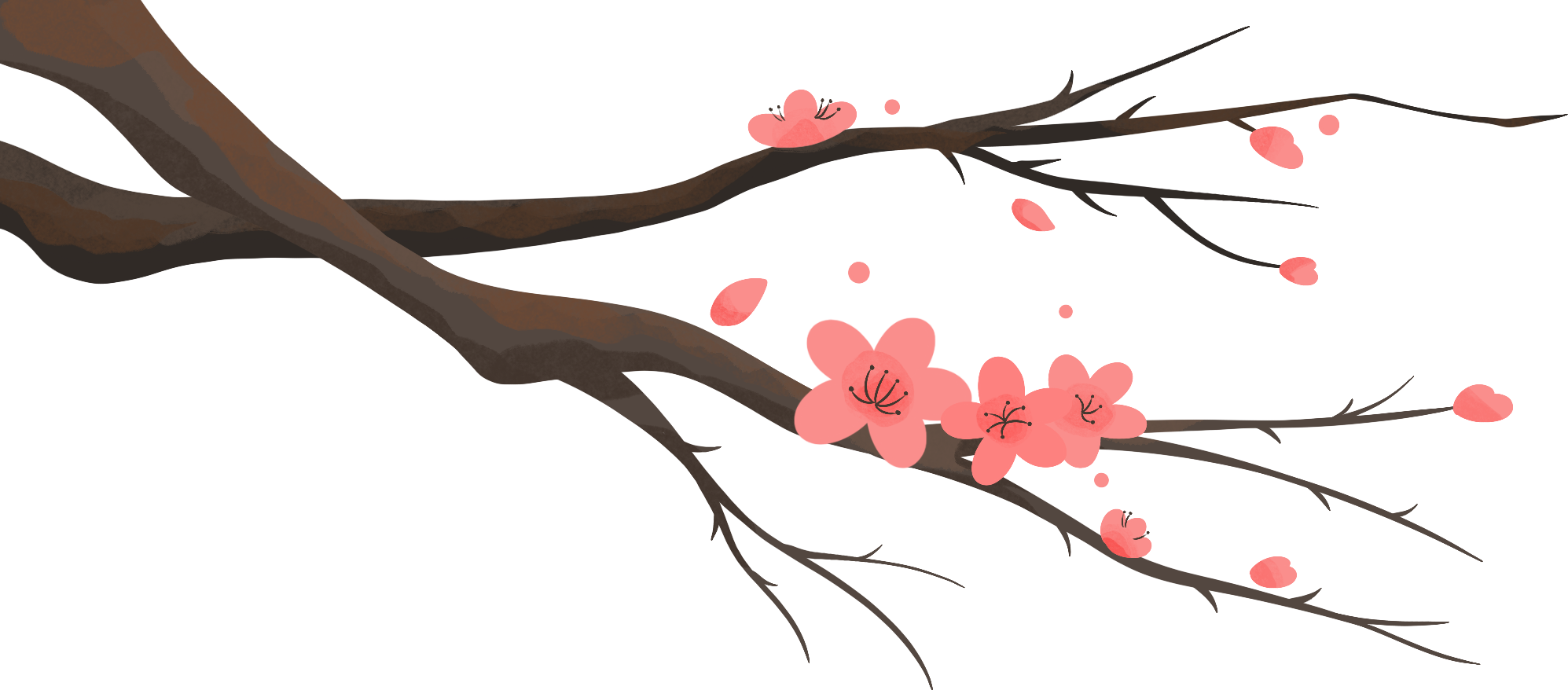 桃花春天绘画图片如何画？