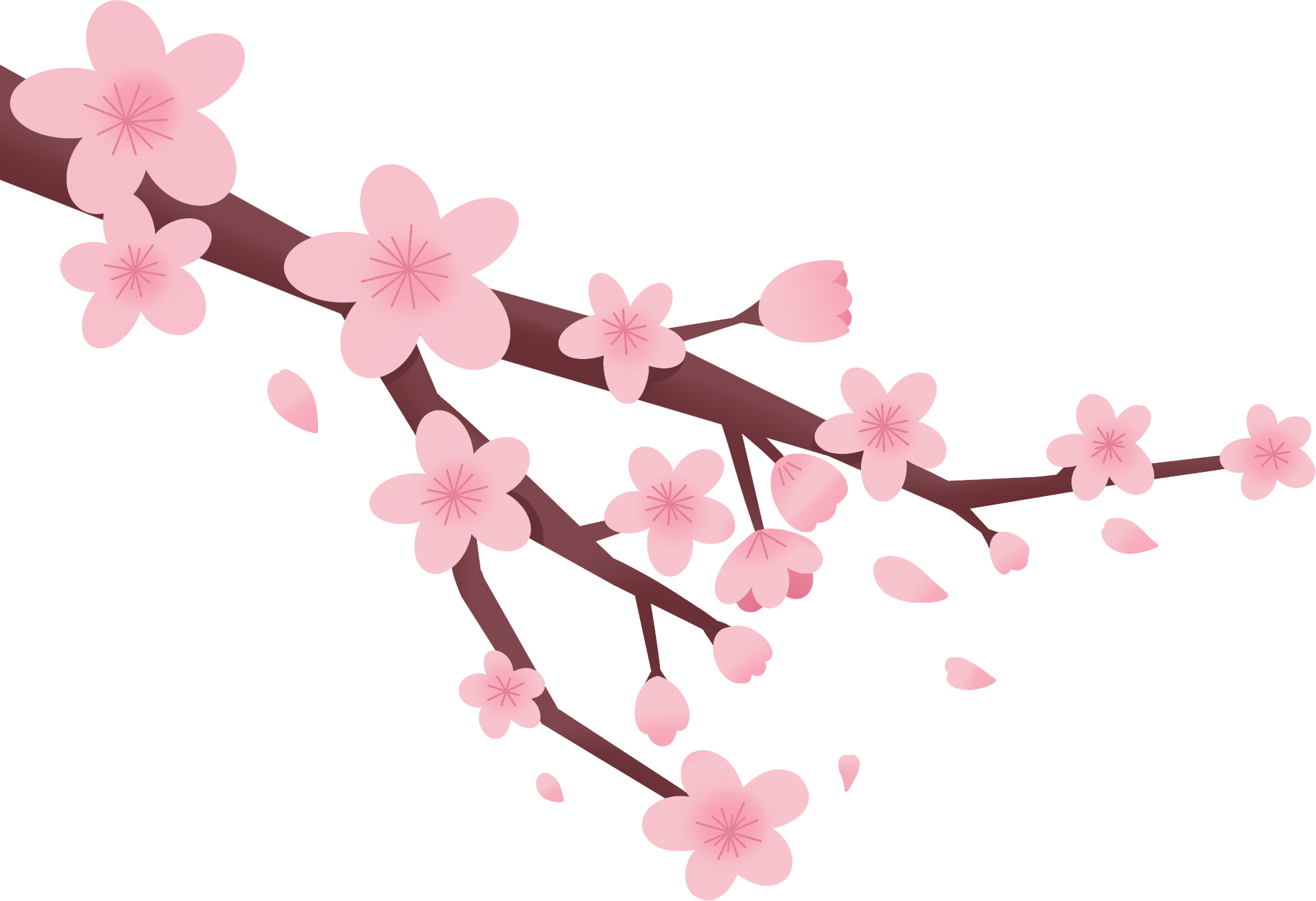 桃花樱花绘画图片创作方法！快速制作技巧！