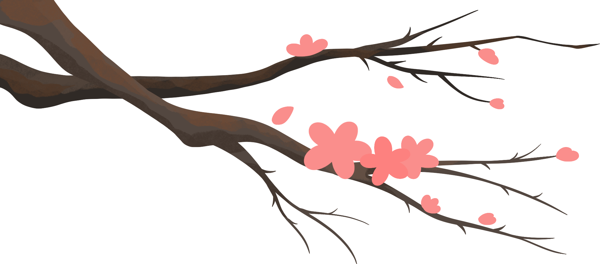 桃花春天绘画图片如何画？