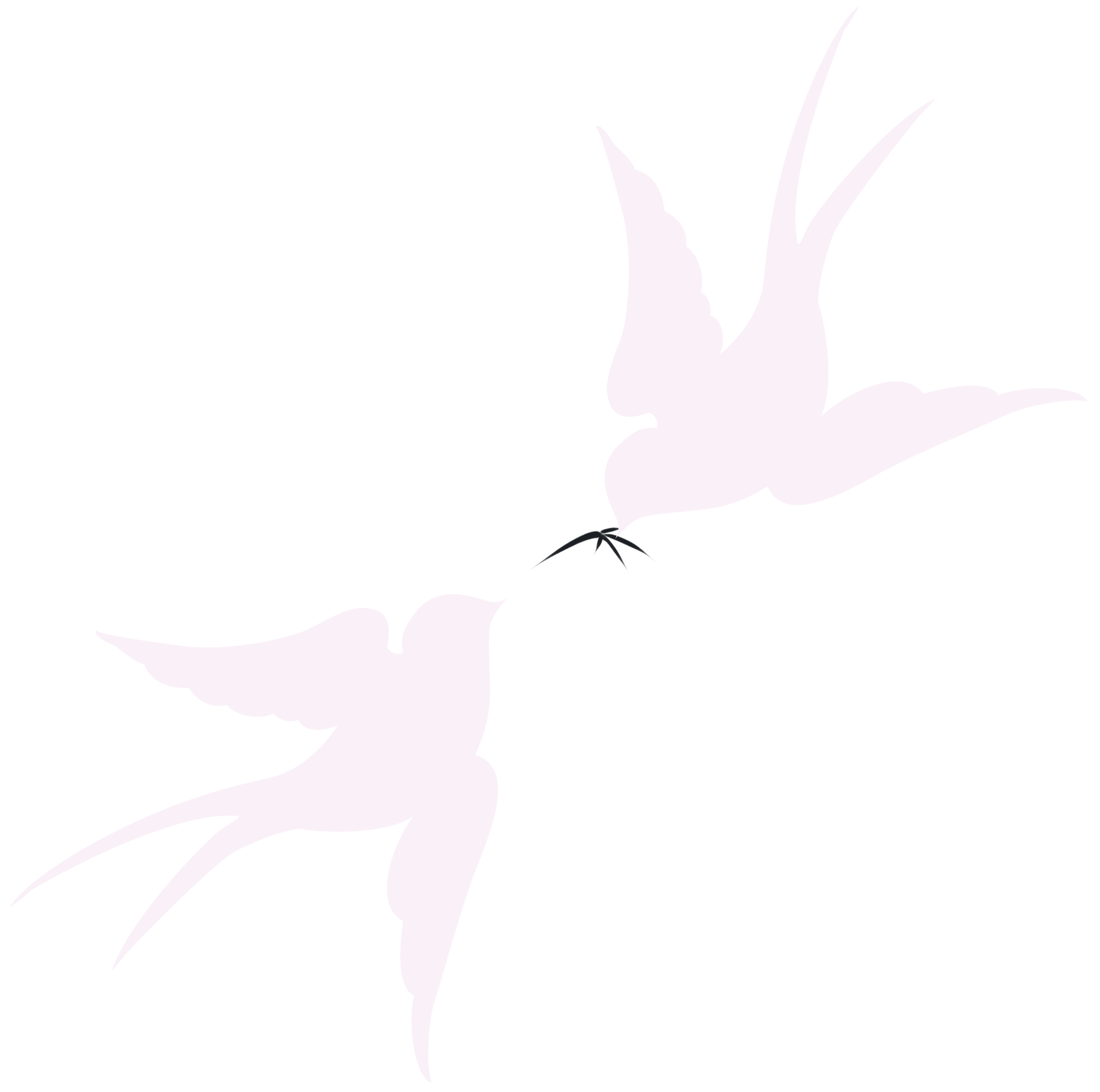 燕子插画图片创作方法！快速制作技巧！