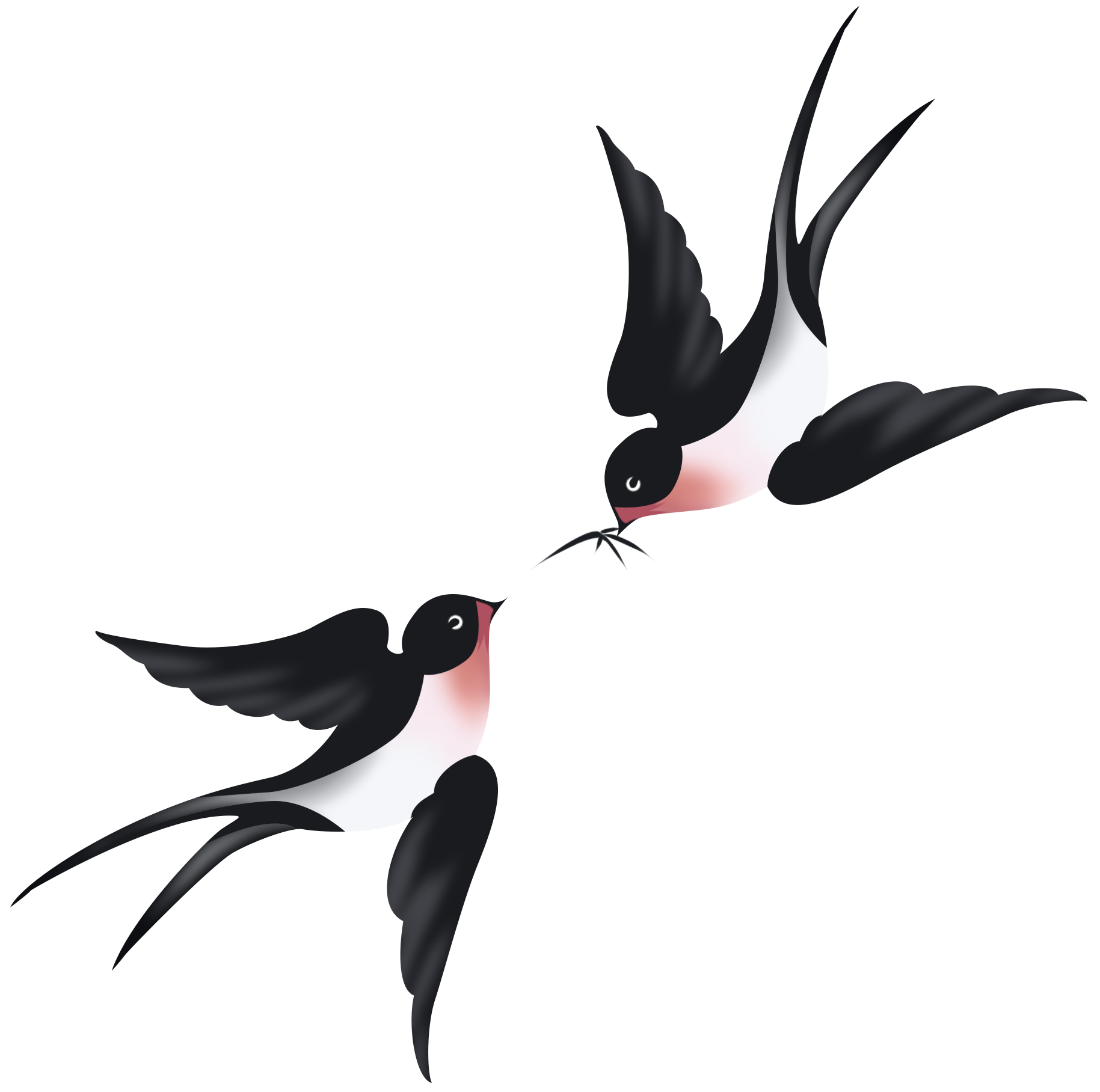 燕子插画图片创作方法！快速制作技巧！