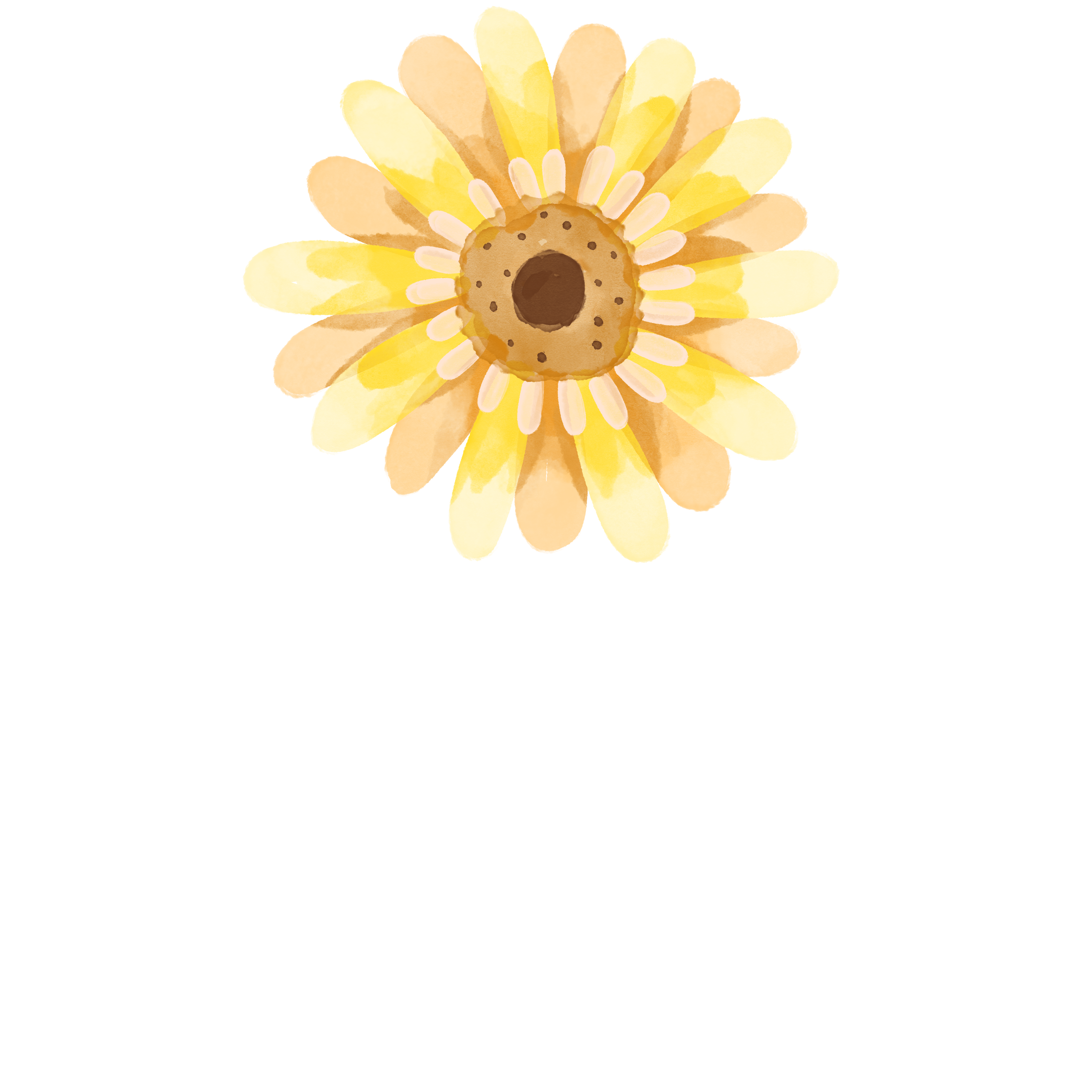 水彩风小花插画图片大全制作技巧