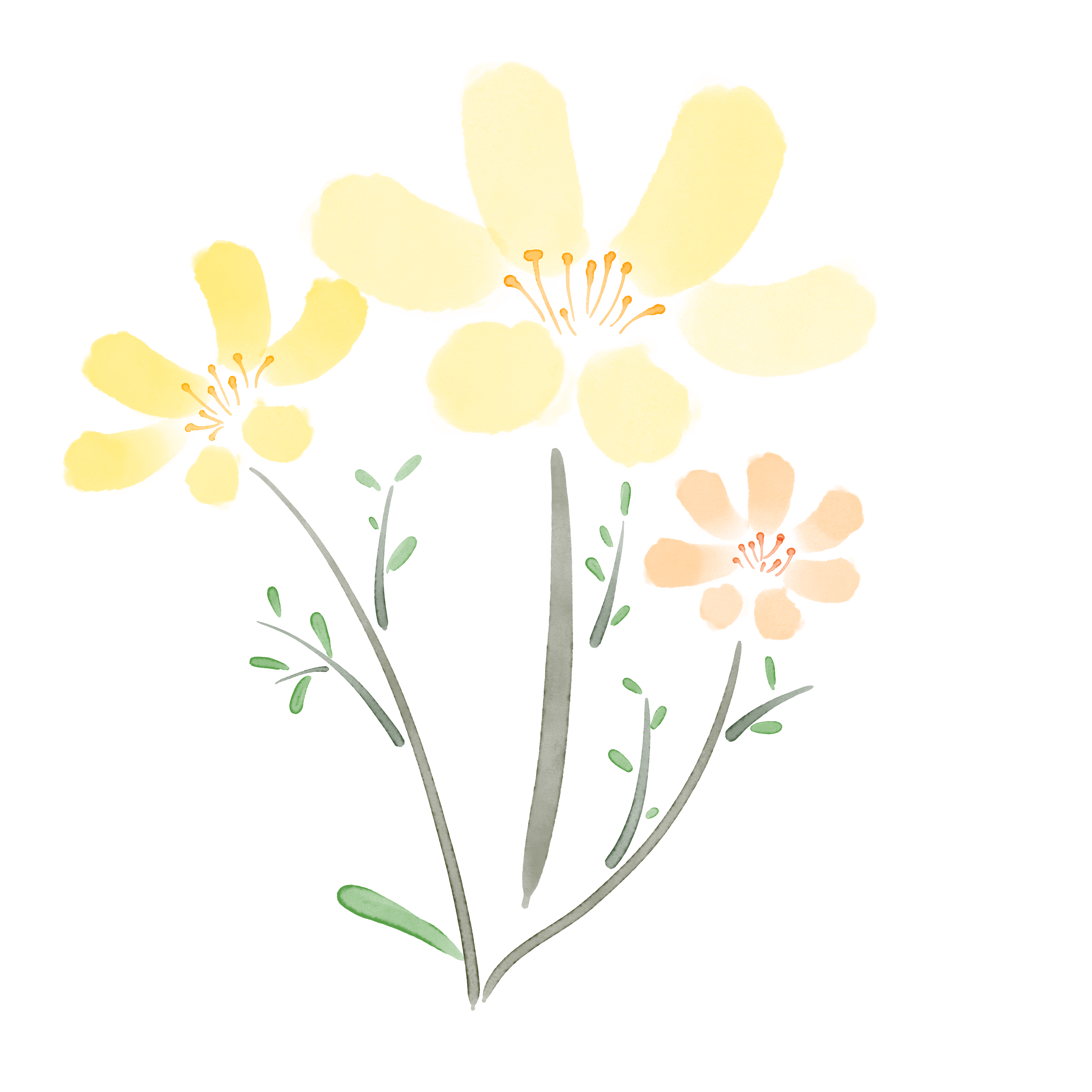 水彩风小花绘画图片大全制作步骤