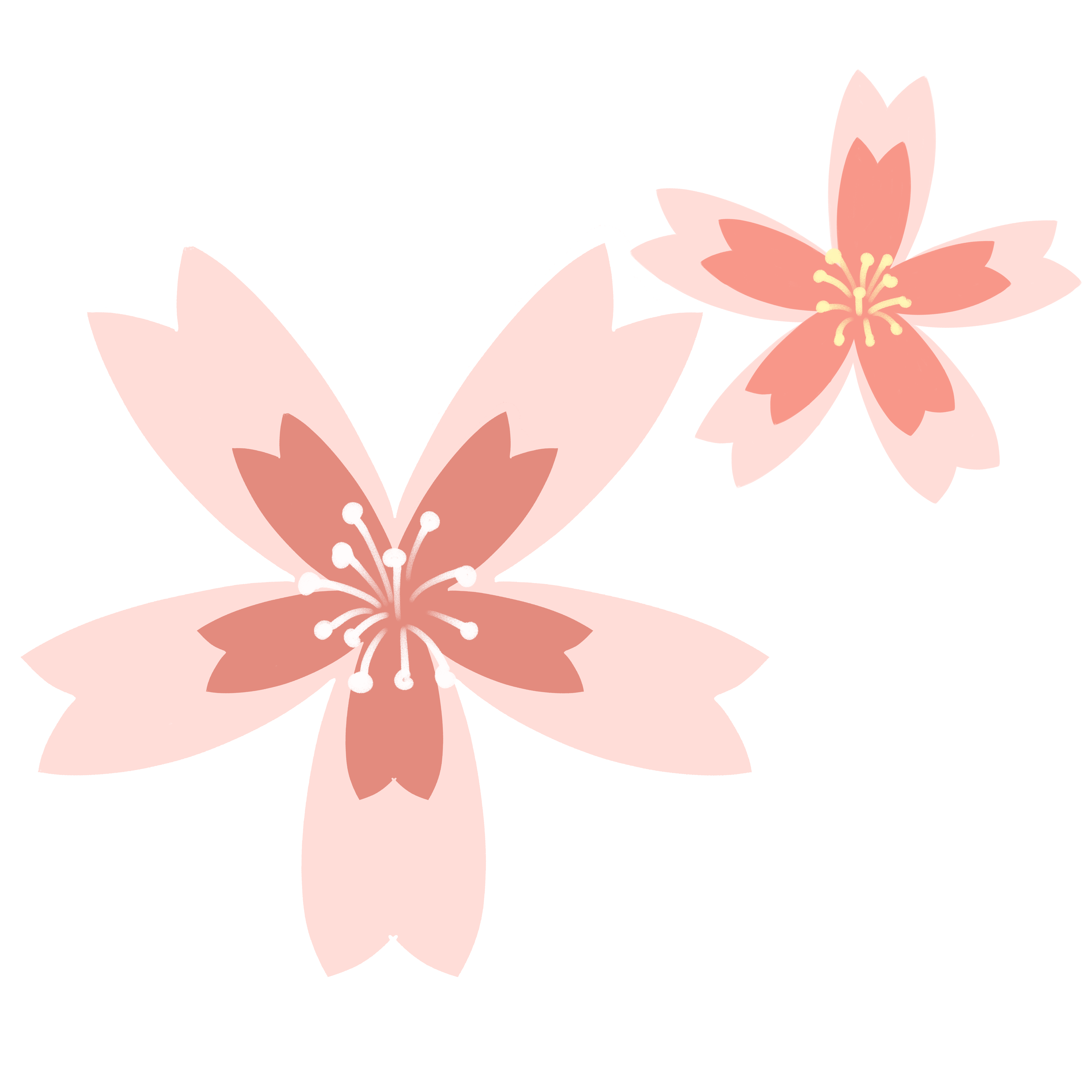 花朵插画图片制作方法