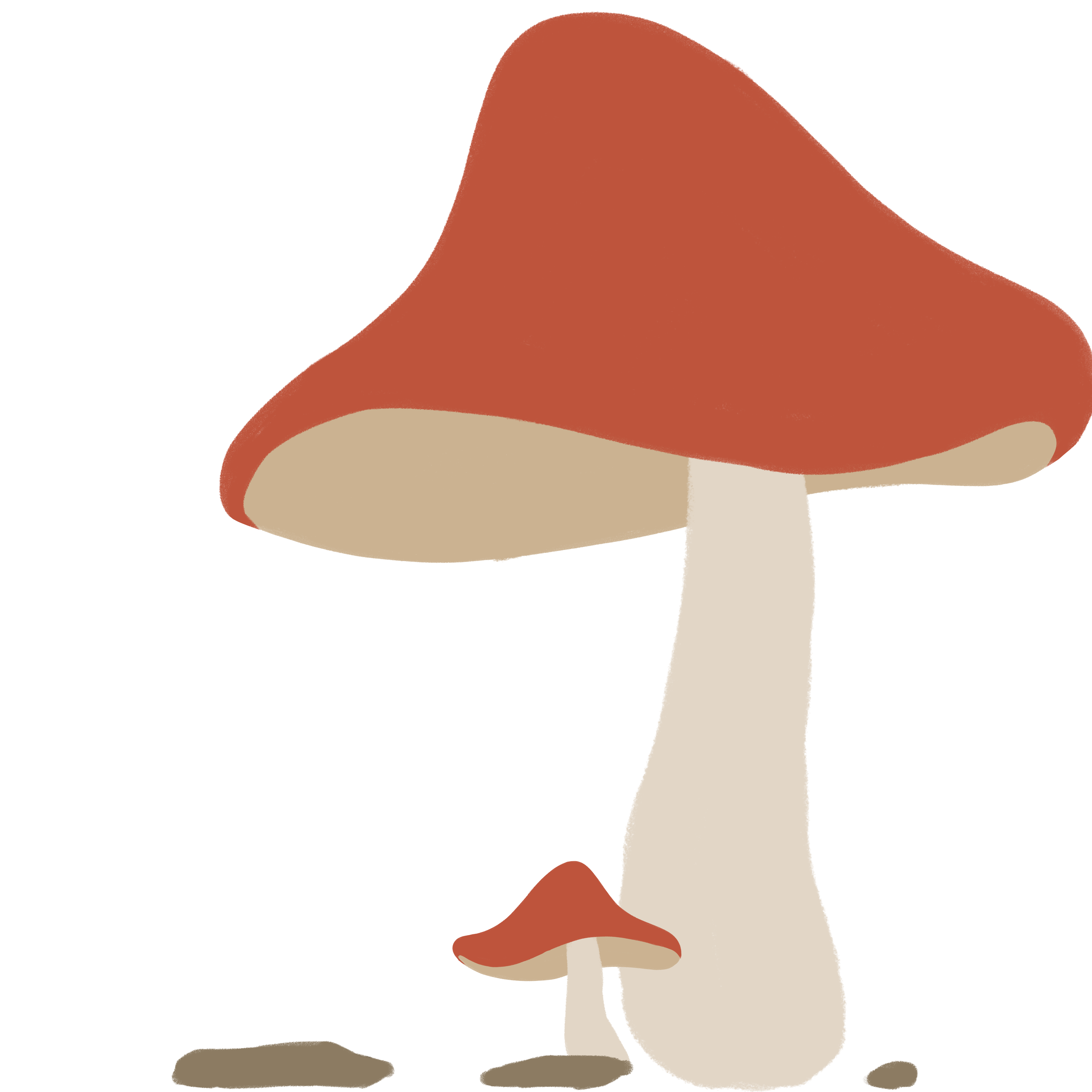 蘑菇绘画图片如何画