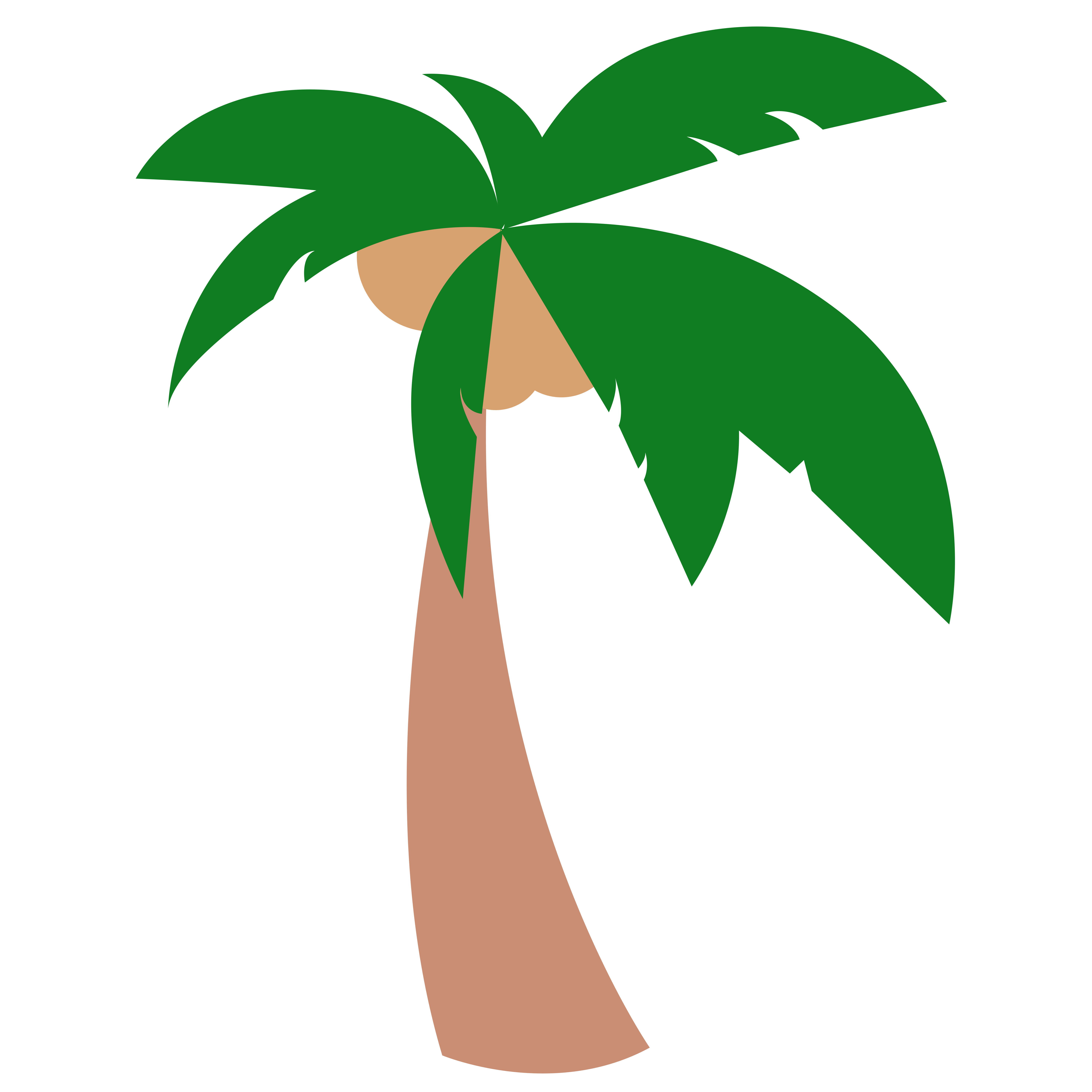 椰子树插画图片如何画