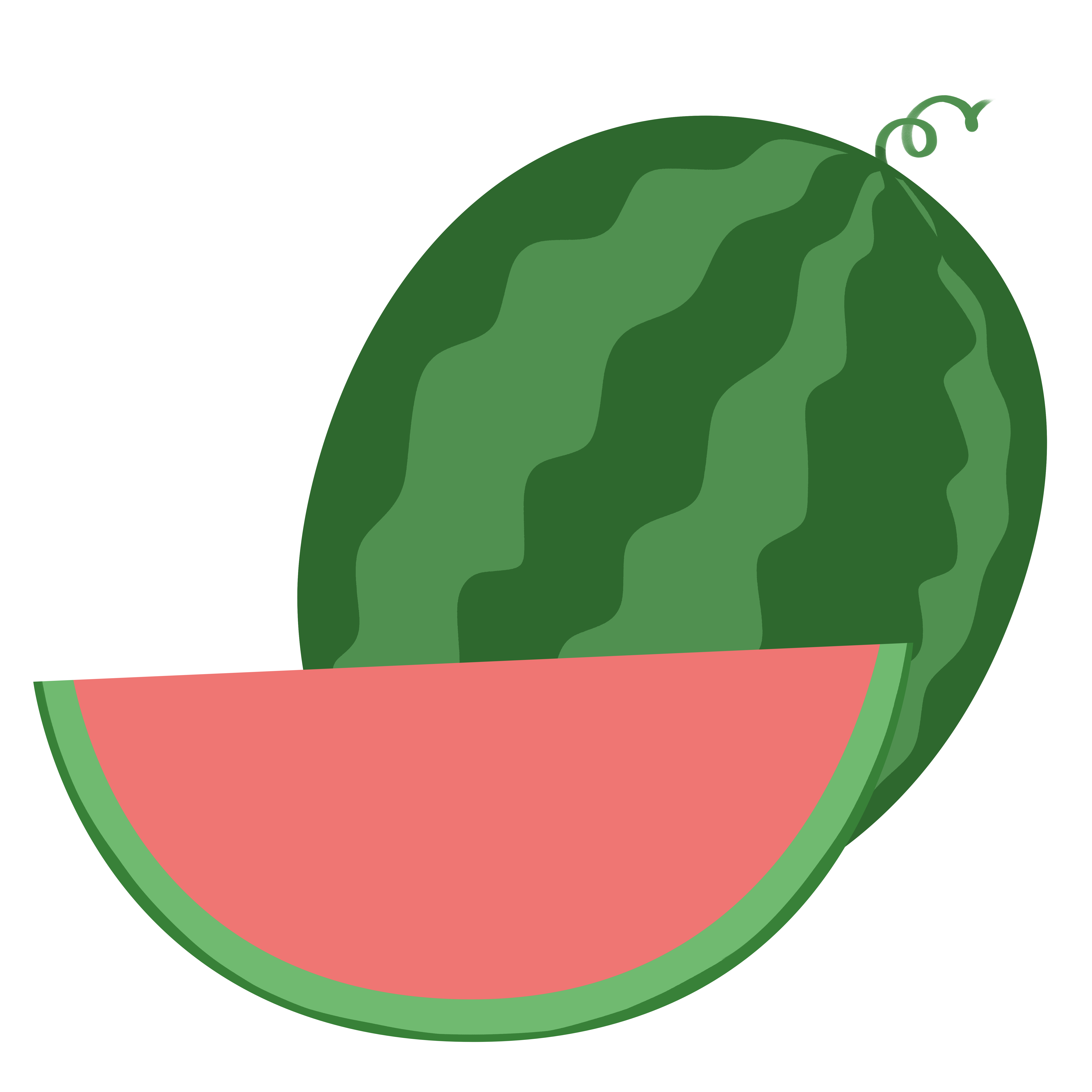 西瓜插画教程如何绘制