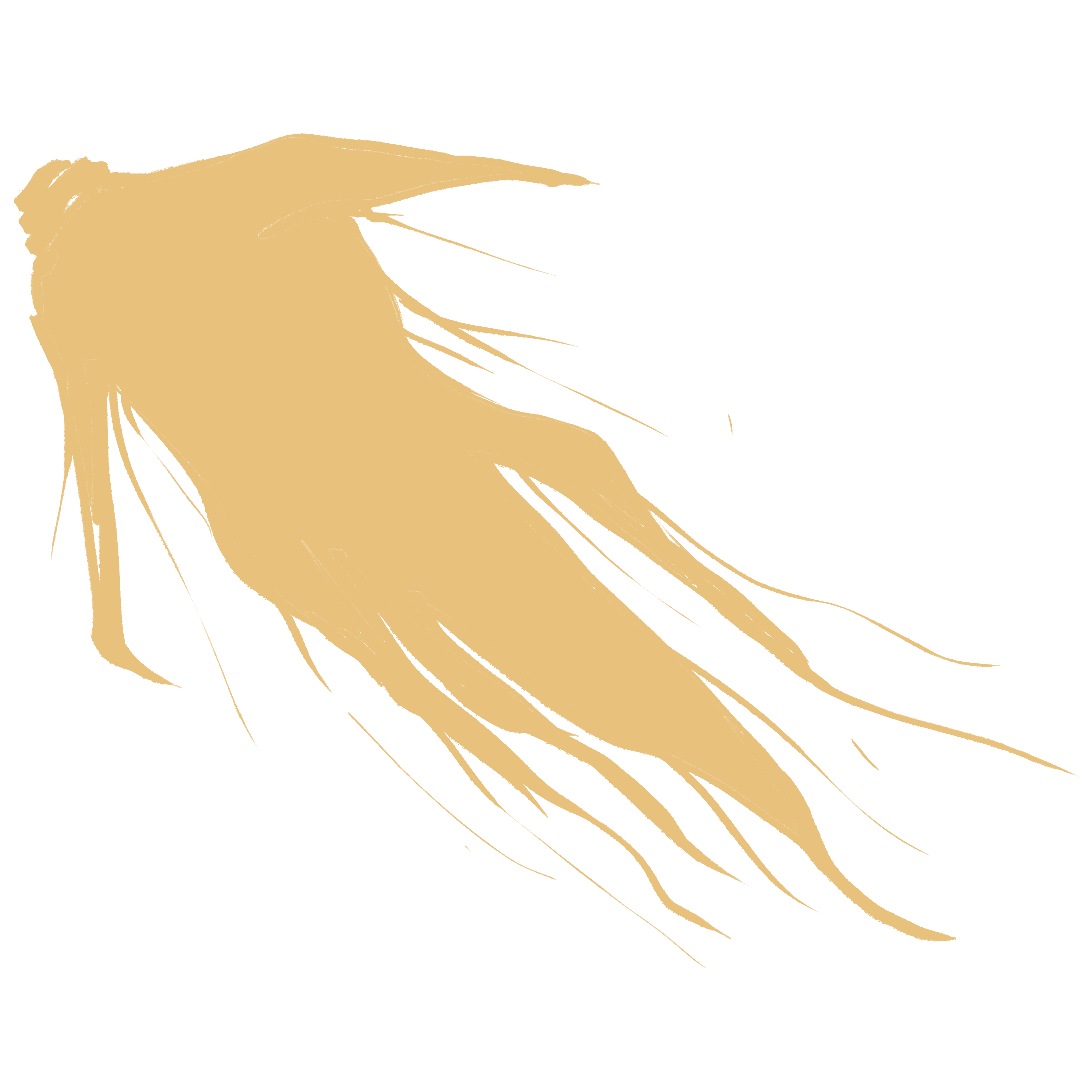 人参素材图片如何画