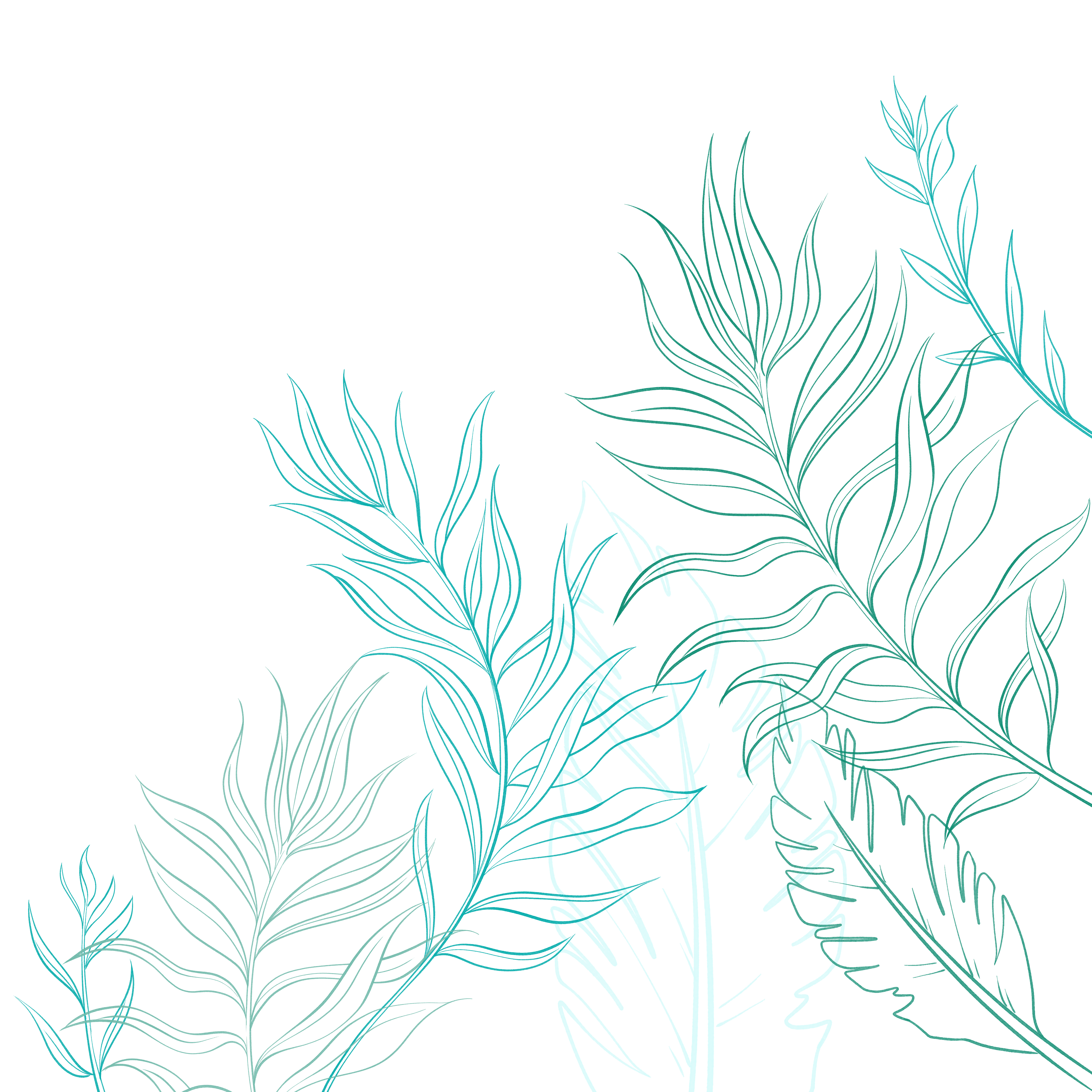 清新简约绘画图片制作方法