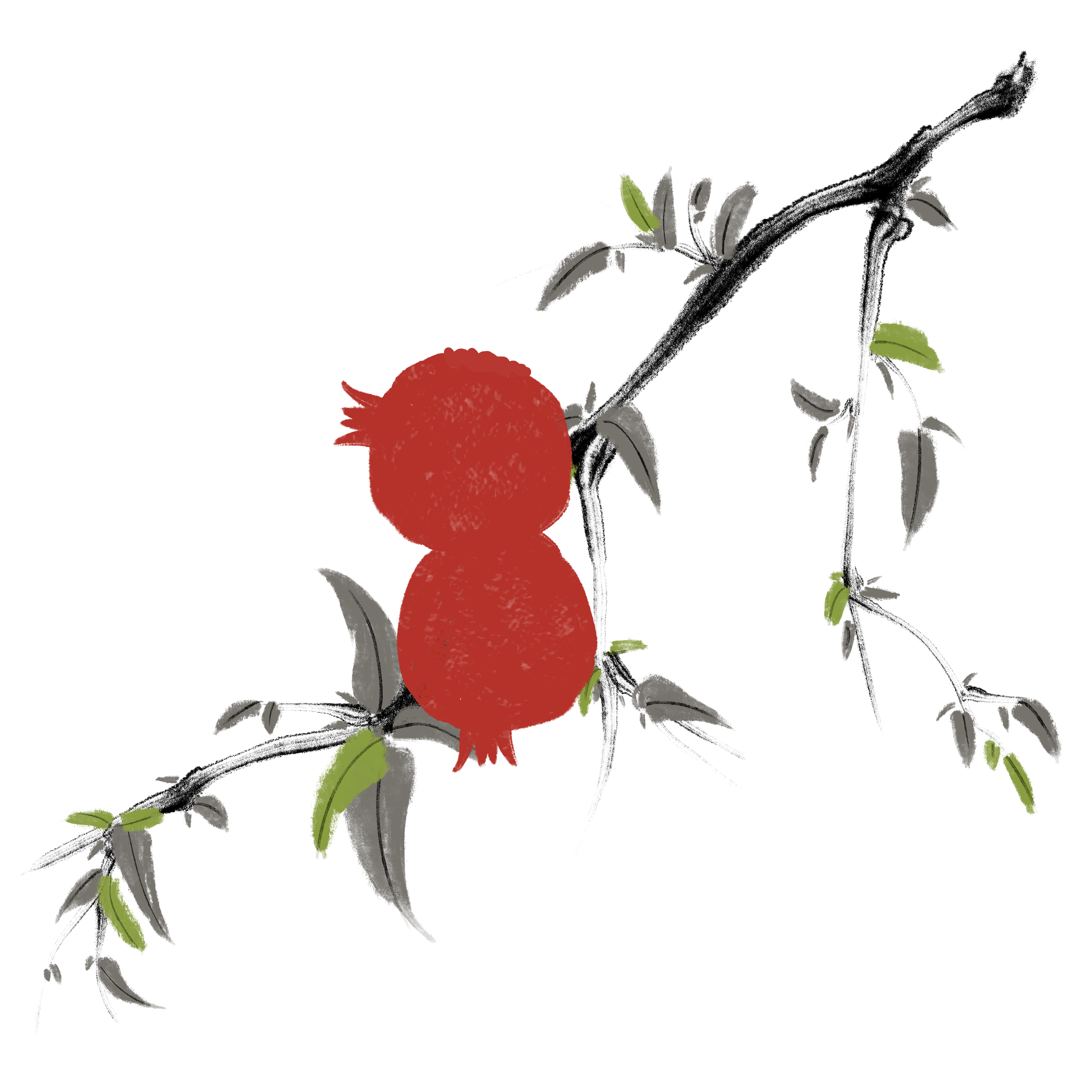 水墨植物素材图片创作方法快速制作技巧