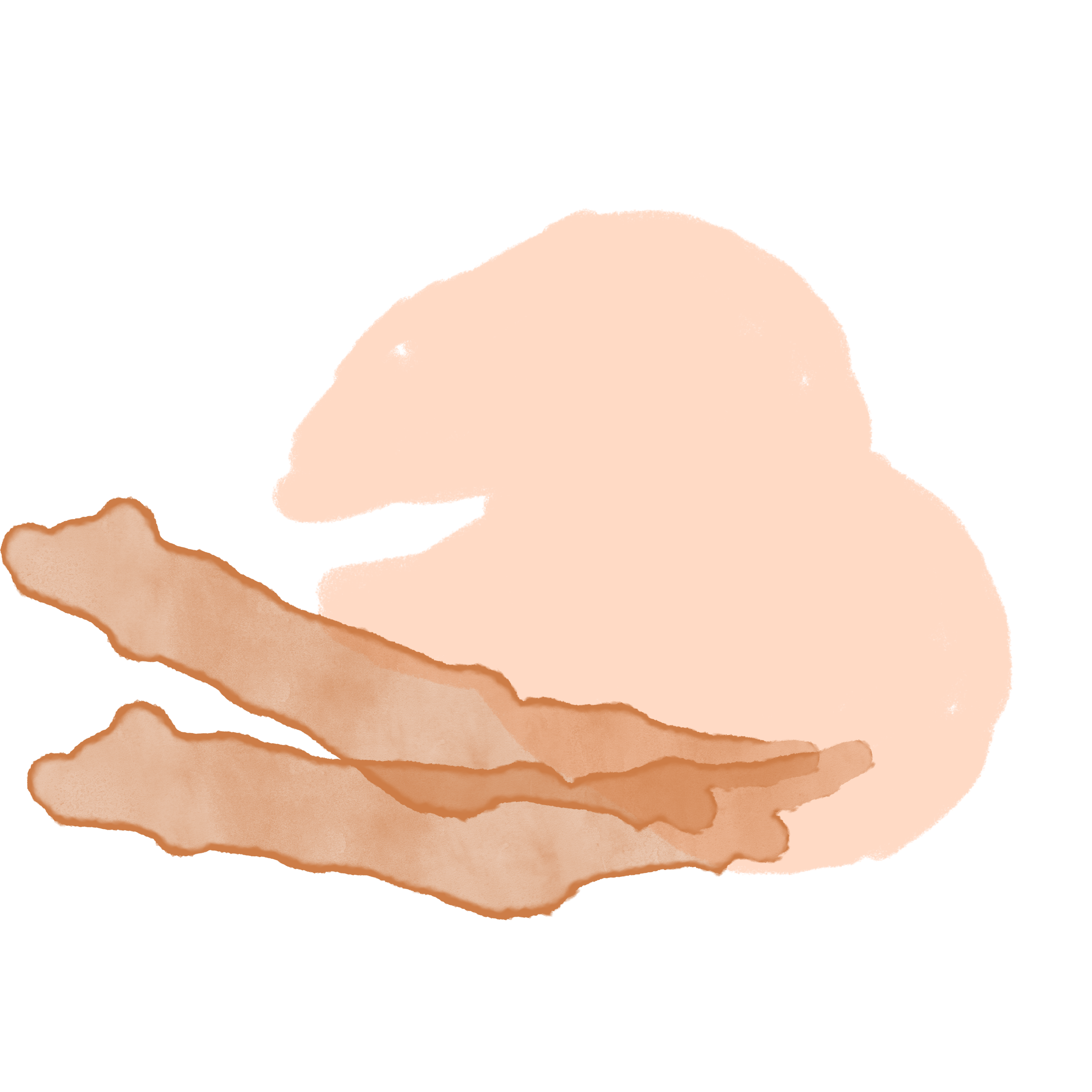 食谱素材图怎样画